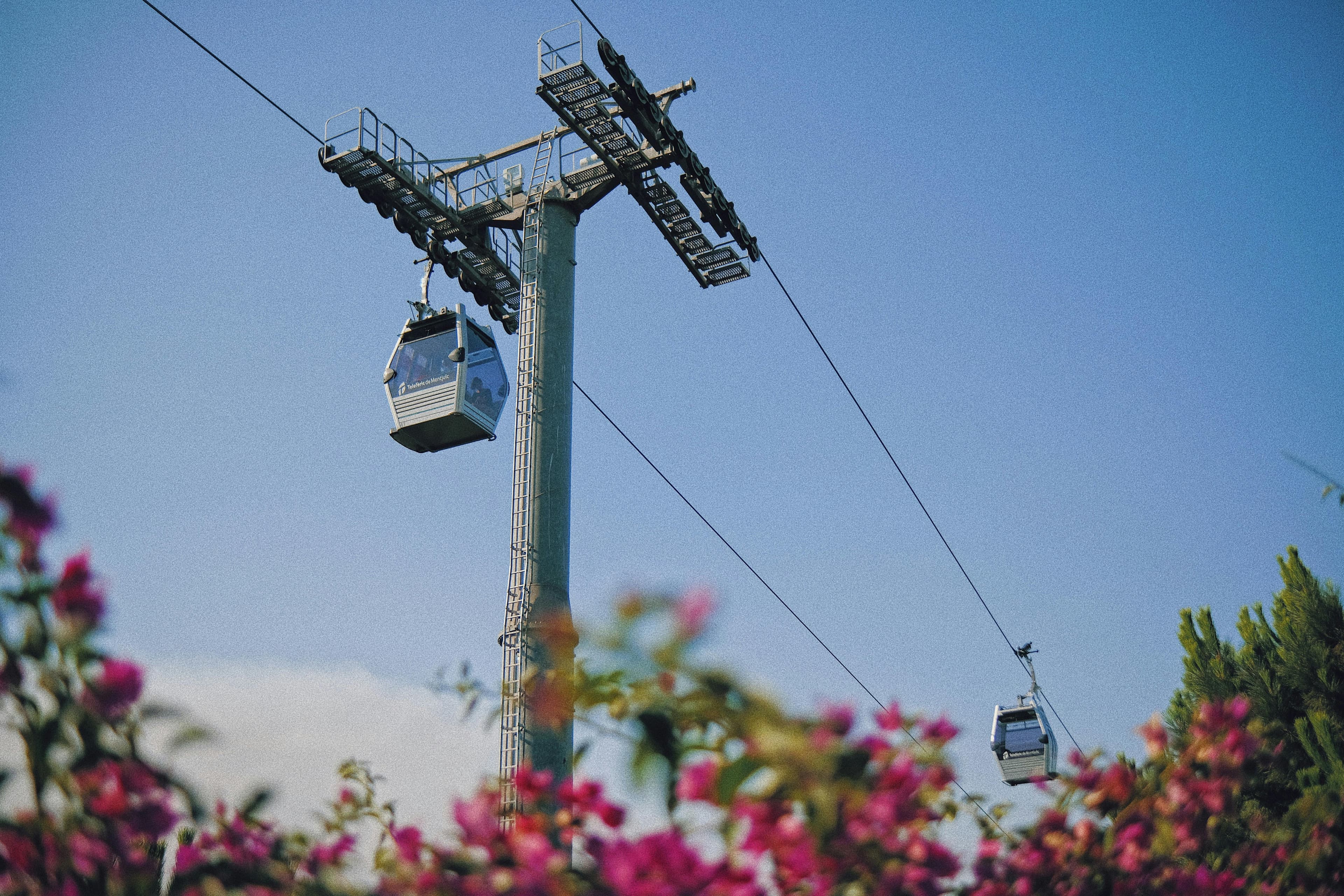 Cable cars travel over Montjuïc with vibrant flowers in the foreground under a clear blue sky.