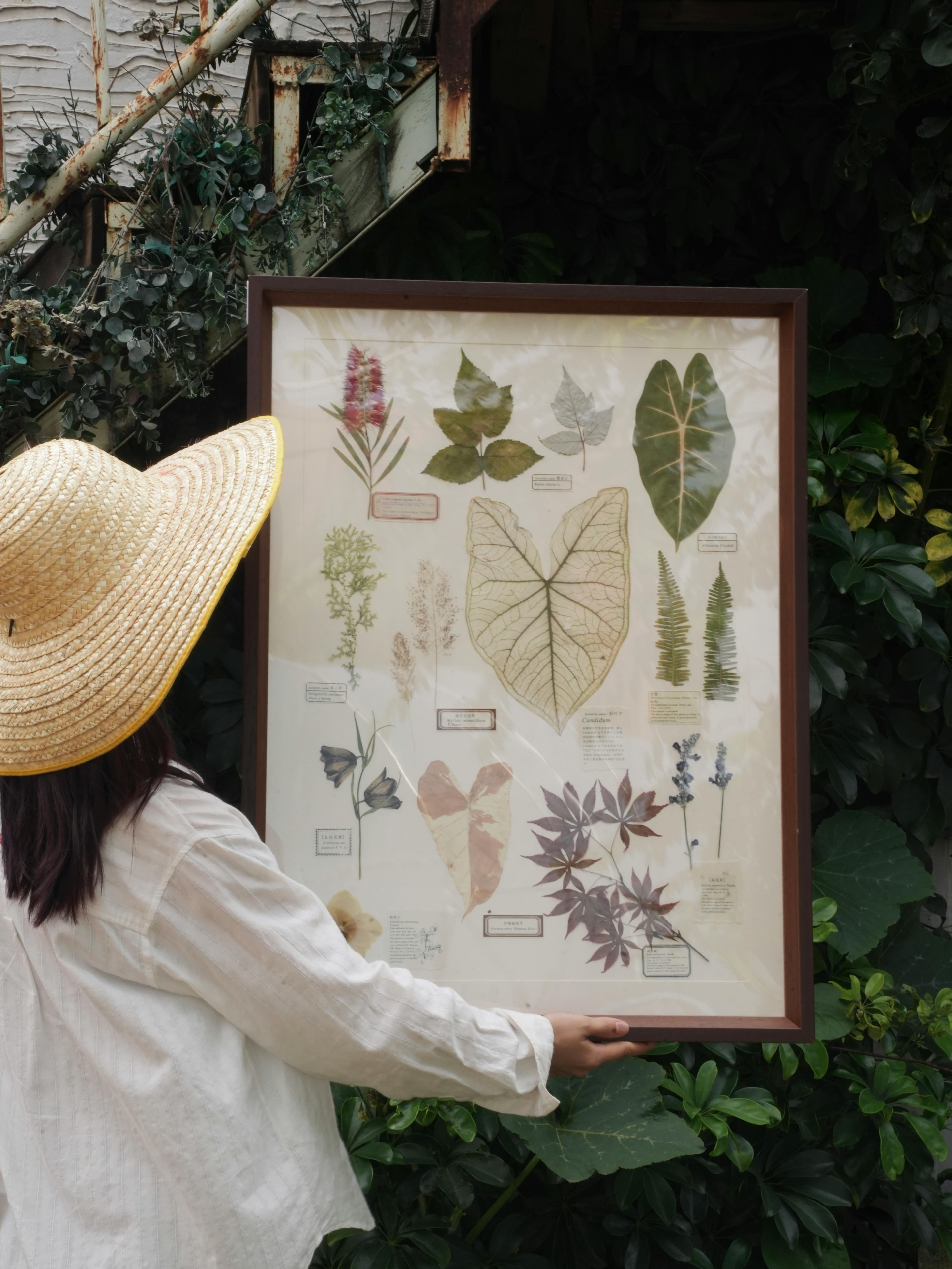 Woman holding framed botanical print in a lush garden setting.