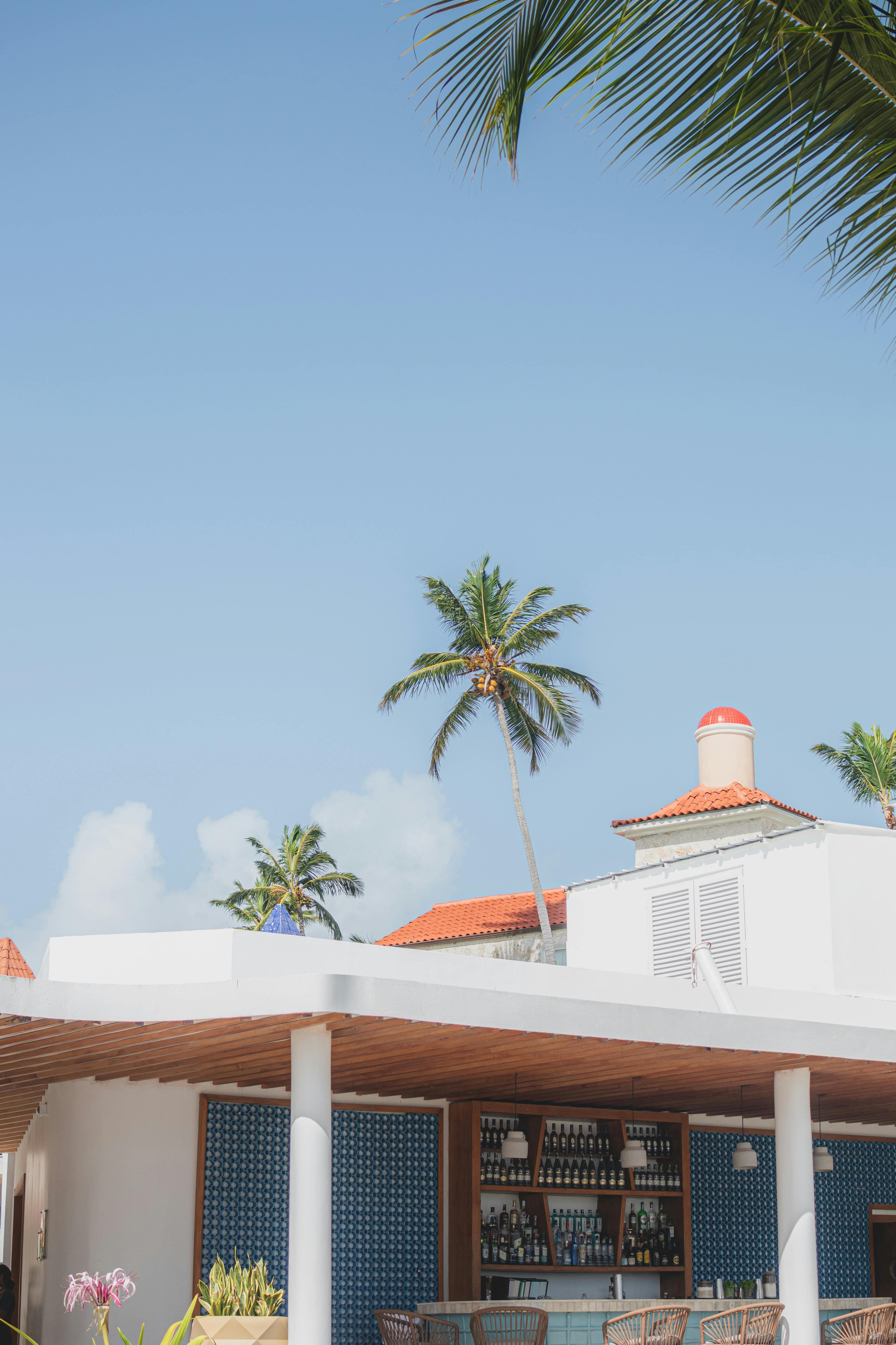 Charming beachside bar in Punta Cana, capturing tropical vibes with palm trees and clear blue skies.