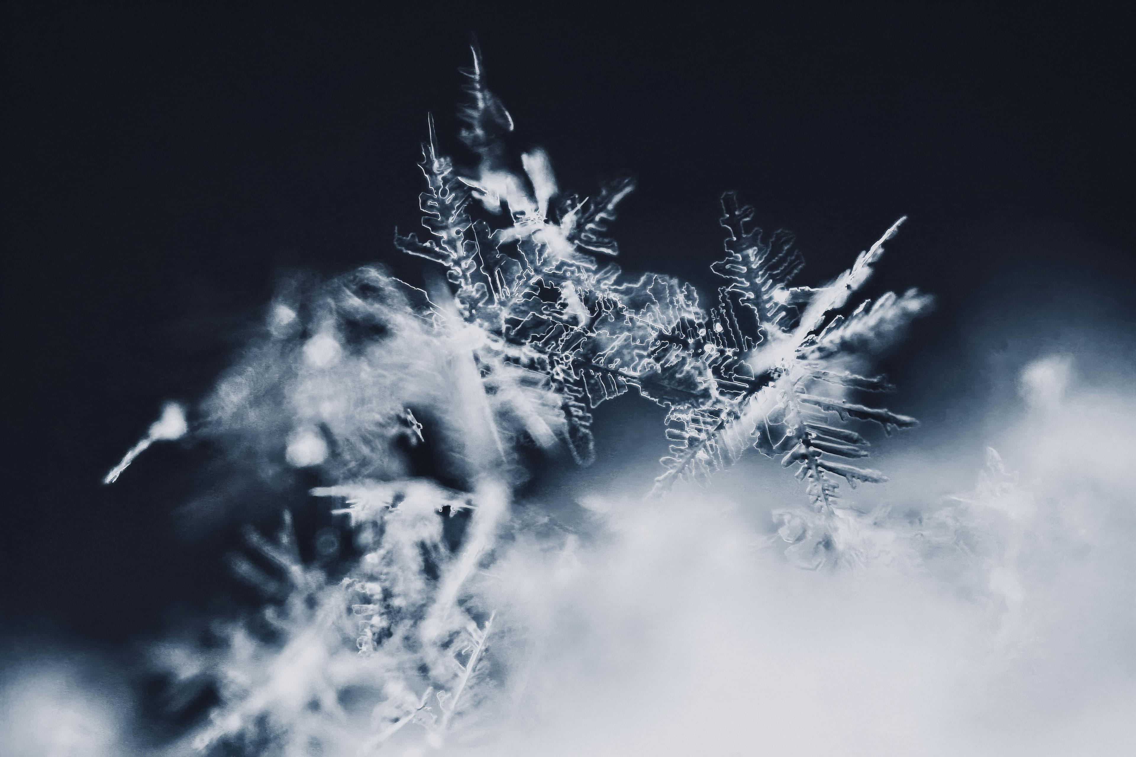 Detailed macro shot of intricate snowflakes against a dark background.