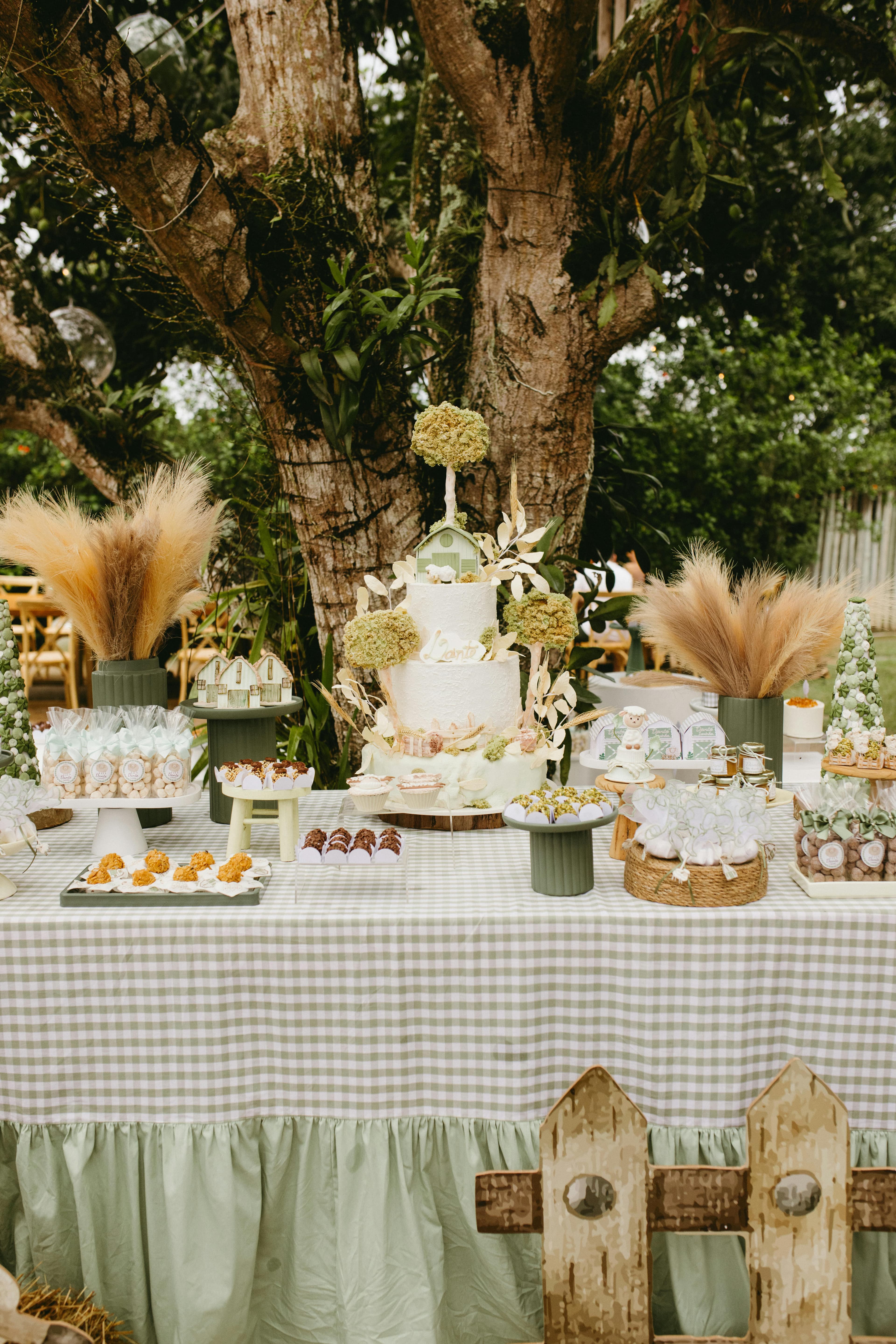 Beautifully set outdoor rustic-themed birthday celebration with cake and decorations under a tree.