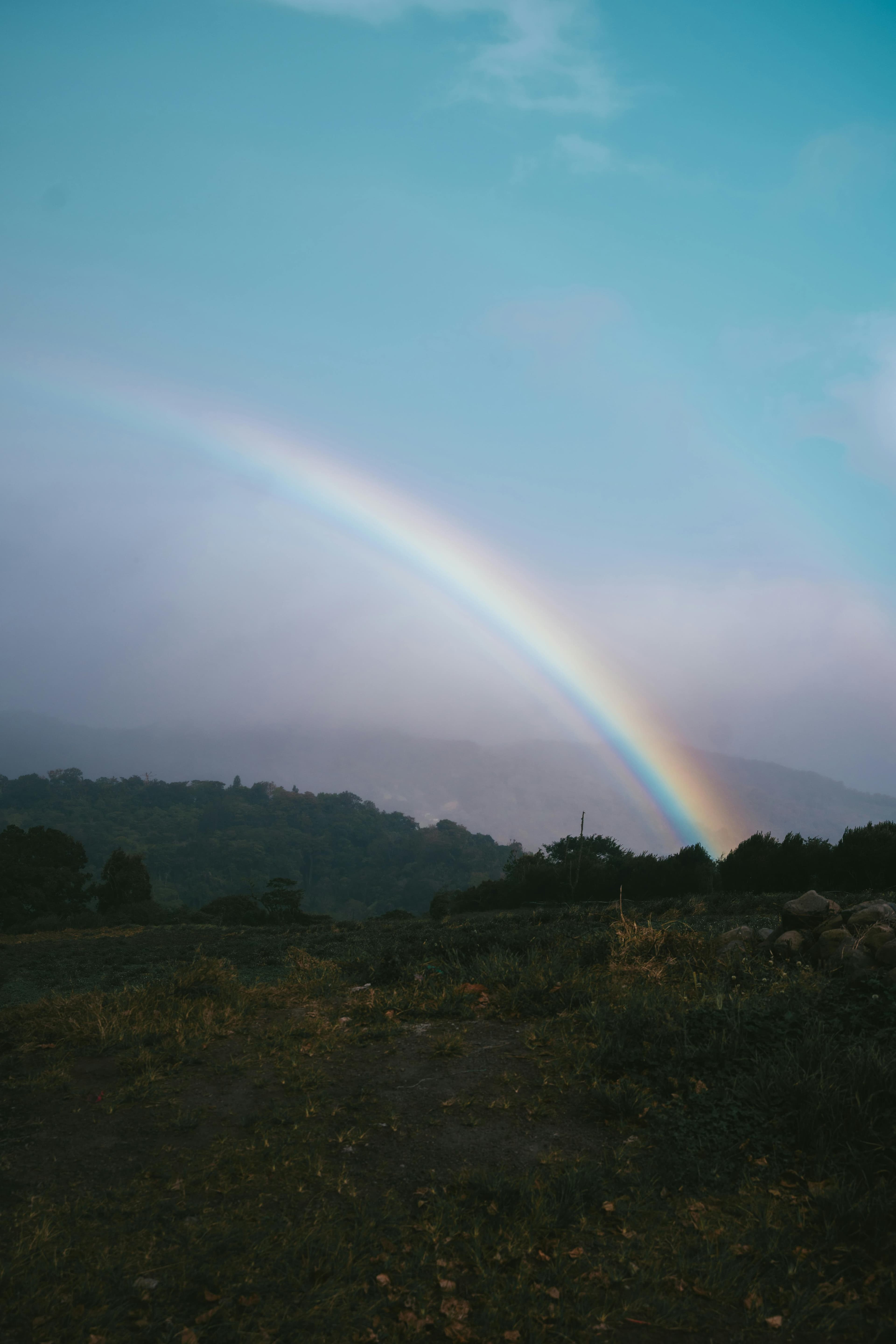 A bright rainbow arcs over a lush green field with a clear blue sky backdrop.
