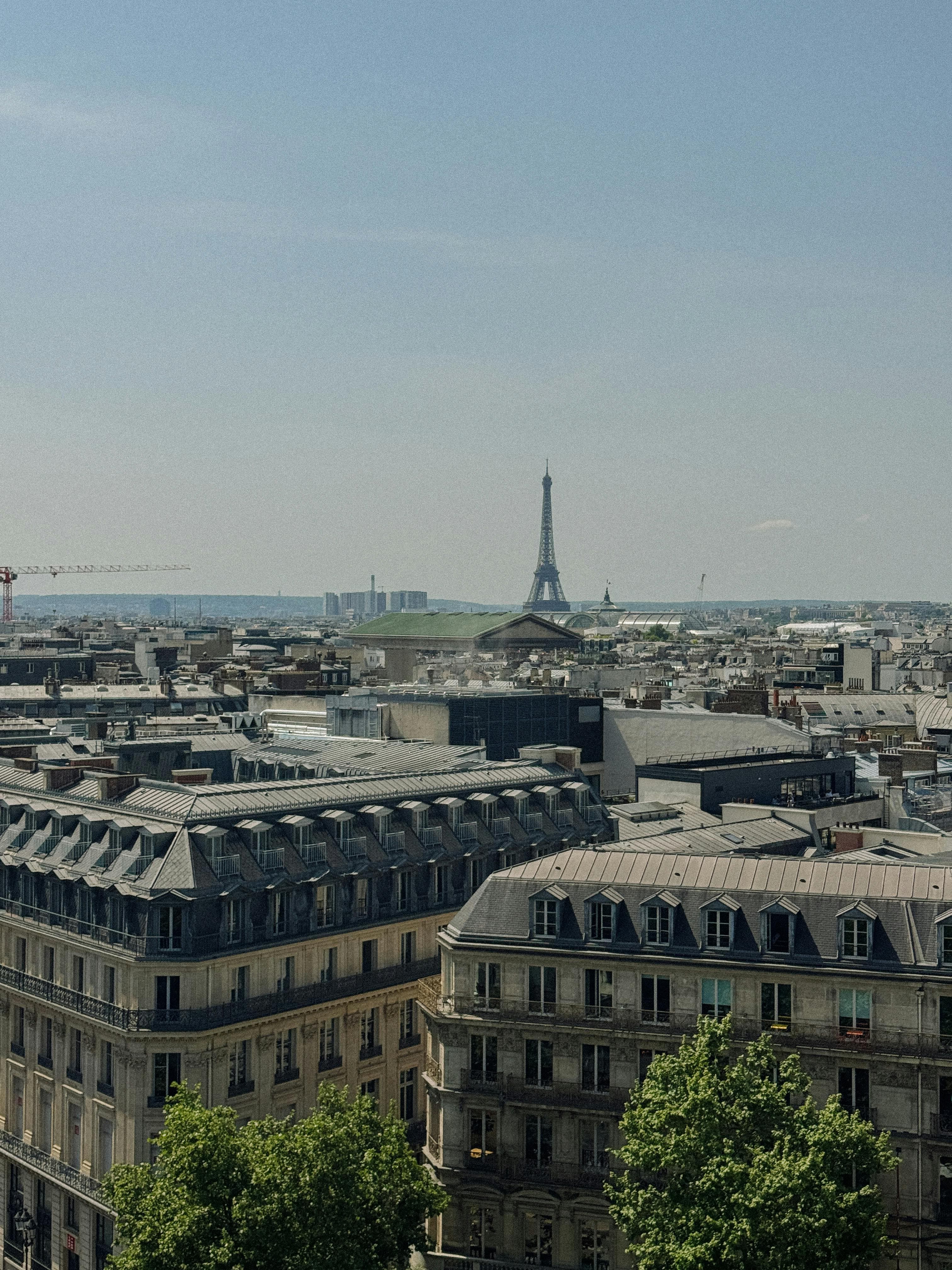 Aerial view of Paris cityscape featuring the iconic Eiffel Tower and historical architecture.