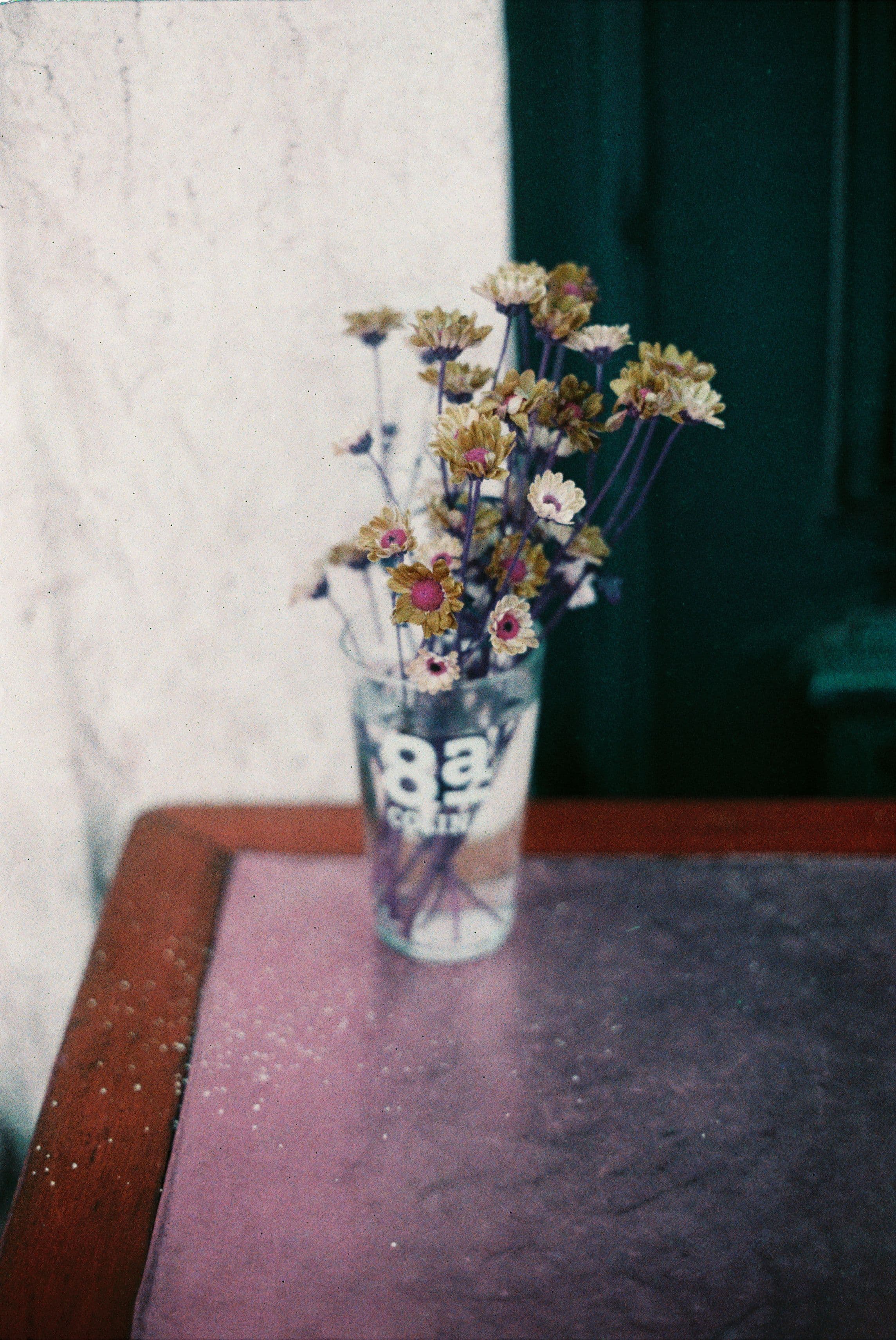 A vintage style photo of wildflowers in a glass on a textured surface in Lisbon.